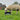 Summer Grazing Support with NutriGrow’s Sea-Lick Range