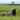 Pre-Tupping: Preparing Your Flock for the Season Ahead