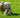 Supplements to Support Healthy Lamb Growth