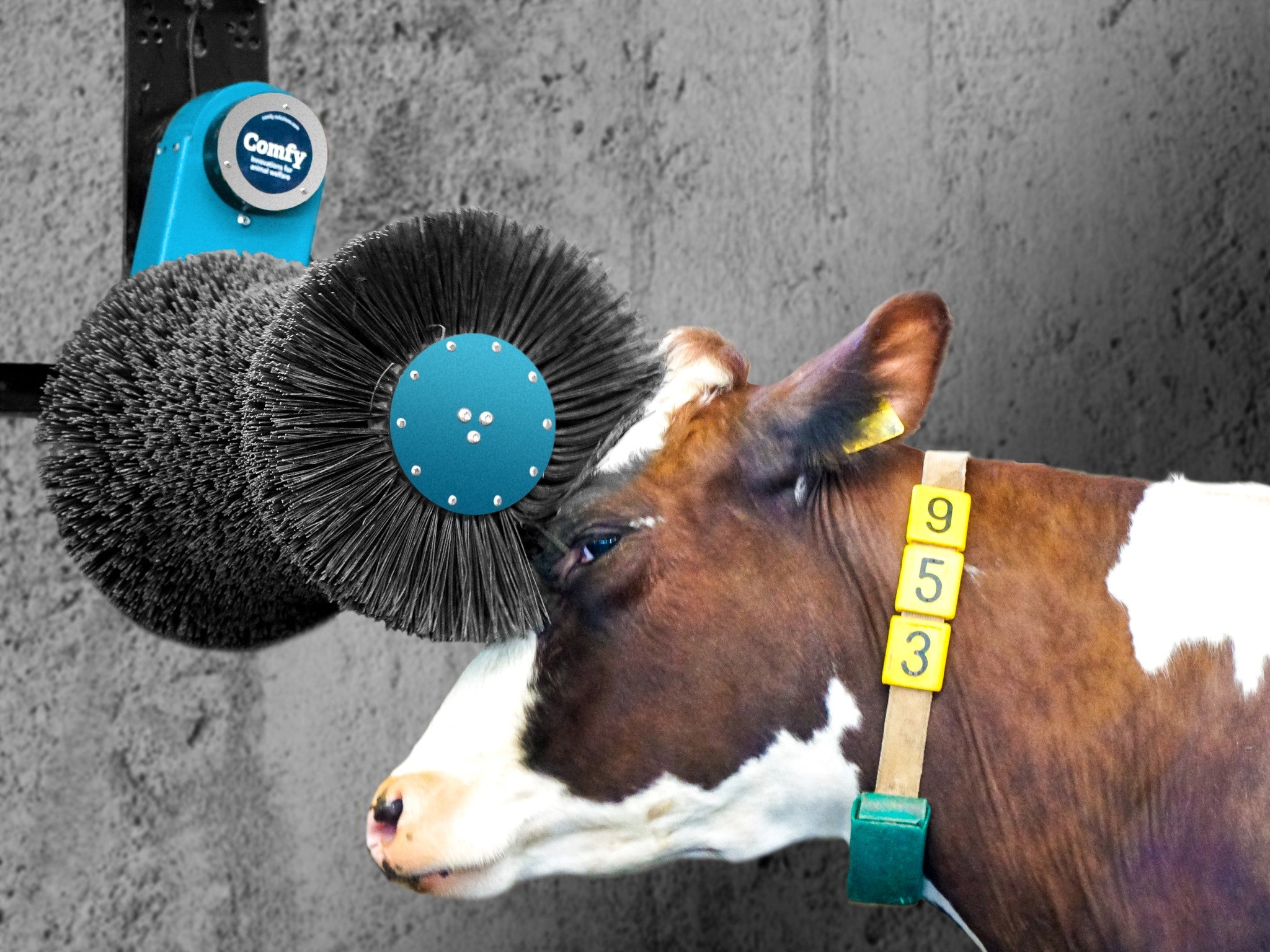 Cow Rotating Machine Cosy Cow Rotating Cattle Brush – NutriGrowSupplies