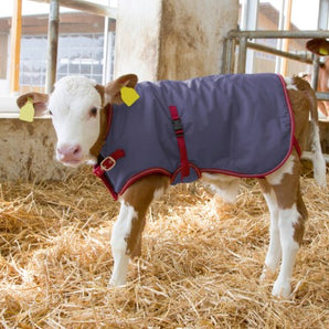 Calf Jacket ThermoPlus