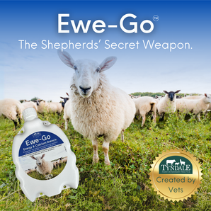 Ewe-Go