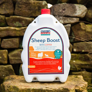 Sheep Boost with Copper by Natural Stockcare