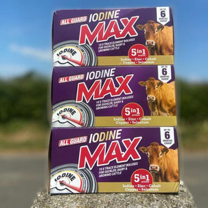 All-Guard-Iodine-Max-5in1