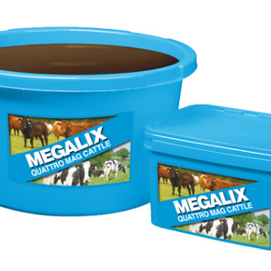 Magalix Quattro Mag Cattle