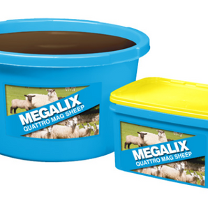 Megalix Quattro Mag Sheep