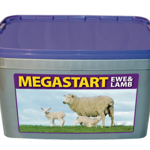 Megastart-Ewe & Lamb