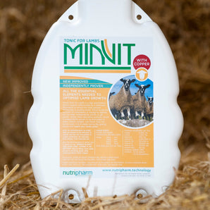 Minvit - With Copper